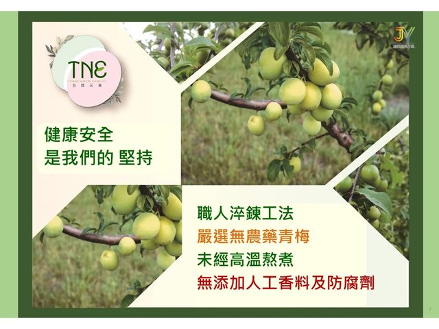 【TNE自然元素 100%青梅果萃酵素 1瓶+冰糖淬梅 2袋】日式淬鍊工藝，天然健康美味