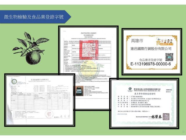 【TNE自然元素 100%青梅果萃酵素 1瓶】日式淬鍊工藝，天然健康美味