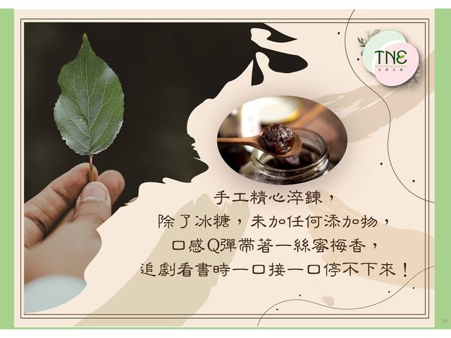 【TNE自然元素 冰糖梅果兩入組】天然梅香的健康美味