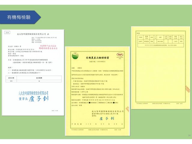 【TNE自然元素 冰糖梅果兩入組】天然梅香的健康美味