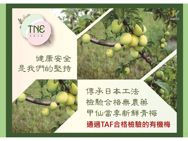 【TNE自然元素 冰糖梅果兩入組】天然梅香的健康美味