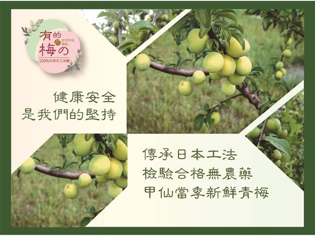 【TNE自然元素 100%青梅酵素 尊榮禮盒(青梅酵素+果萃 初淬限定) 2入組】日式淬鍊工藝，天然健康美味