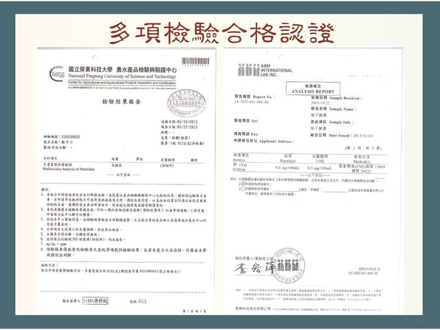 【TNE自然元素 100%青梅酵素 尊榮禮盒(青梅酵素+果萃 初淬限定) 2入組】日式淬鍊工藝，天然健康美味