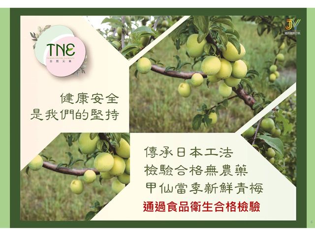 【TNE自然元素 100％青梅果萃(初淬限定) 1瓶】日式淬鍊工藝，天然健康美味
