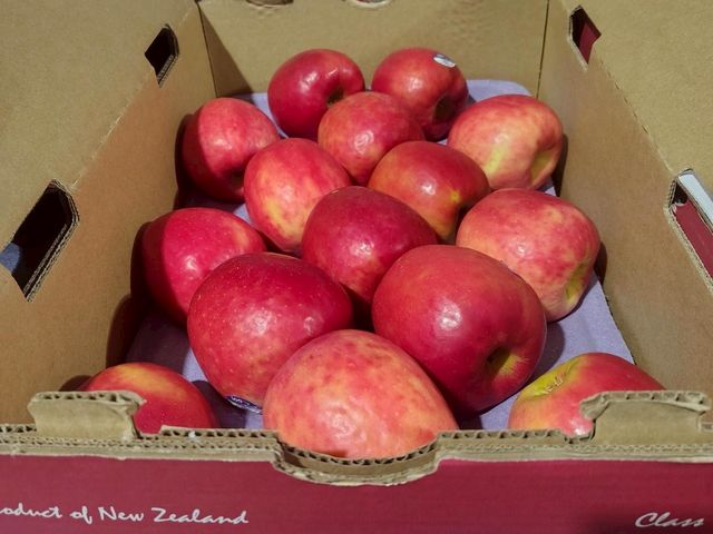 【原裝進口 紐西蘭富士蘋果9kg】30~35顆裝・清脆香甜・家庭首選・整箱更划算