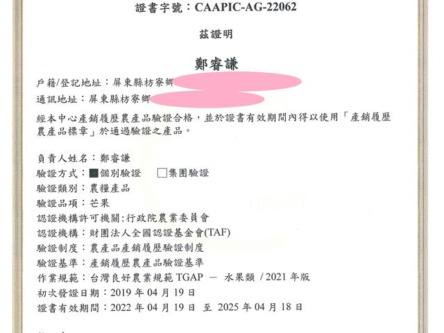 【在欉紅預購！屏東枋寮 愛文芒果】烈日下堅持自然熟成不催熟 讓人垂涎的鮮甜好滋味