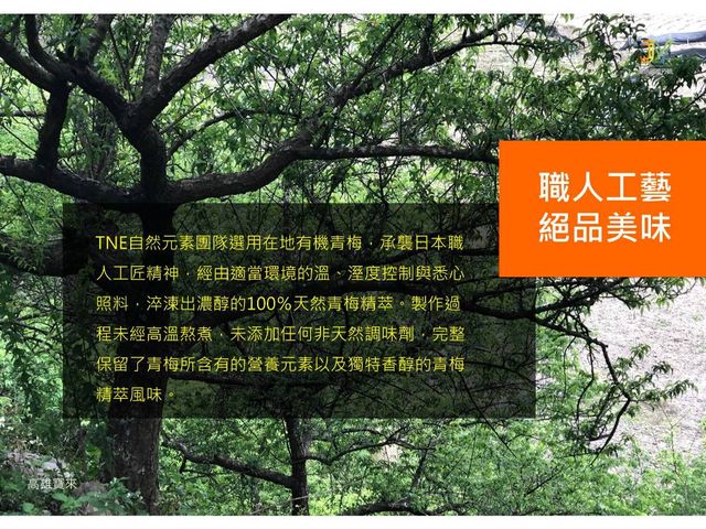 【TNE自然元素 100%青梅果萃酵素 2瓶】日式淬鍊工藝，天然健康美味