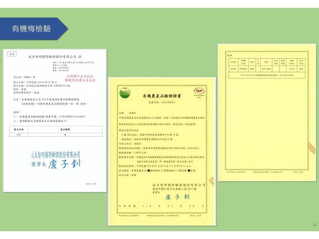 【TNE自然元素 100%青梅果萃酵素 2瓶】日式淬鍊工藝，天然健康美味