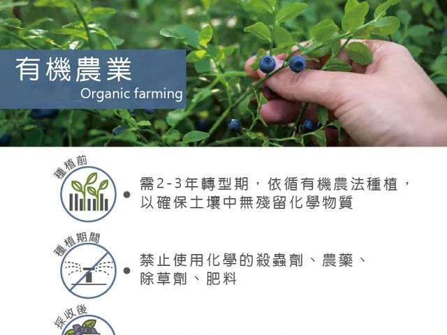 【天時莓果 獨家！冷凍有機野生藍莓 1000g/包】天時莓果｜有機驗證急凍藍莓｜100%無農藥・無添加安心吃