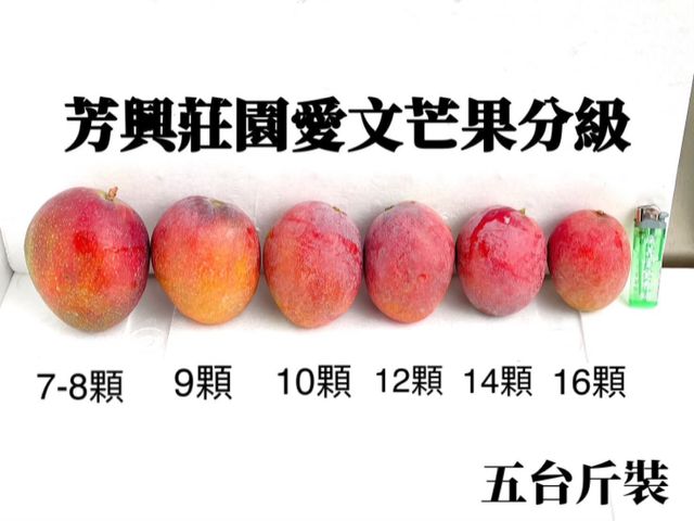 【搶先預購！屏東枋寮 外銷頂級愛文芒果禮盒】榮獲芒果王冠軍｜香甜爆汁・送禮首選
