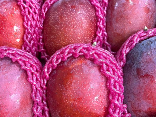 【搶先預購！屏東枋寮 外銷頂級愛文芒果禮盒】榮獲芒果王冠軍｜香甜爆汁・送禮首選