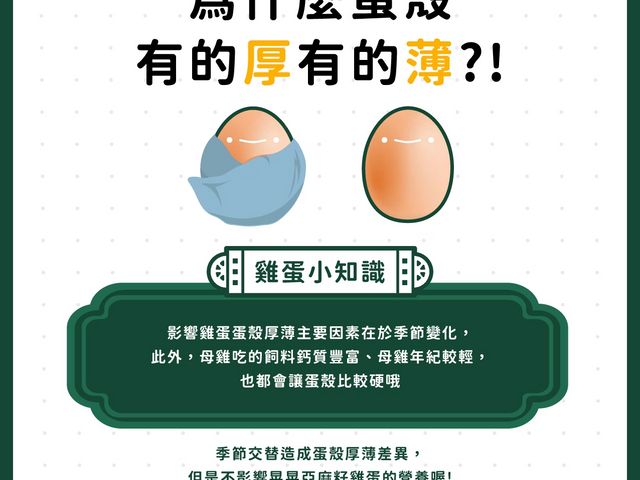 【亞麻籽放牧土雞蛋(10入/盒) 4盒裝 】一顆好蛋，從放牧與天然飼養開始