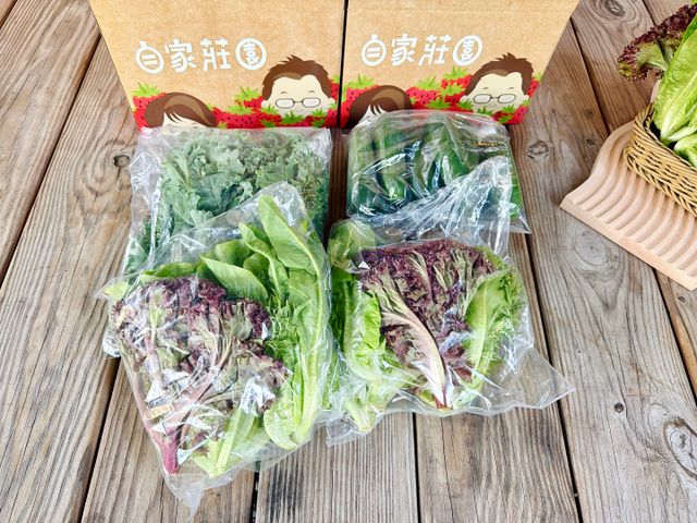 【雲林小農友善栽培 生菜箱】三種蔬菜 健身OL最愛