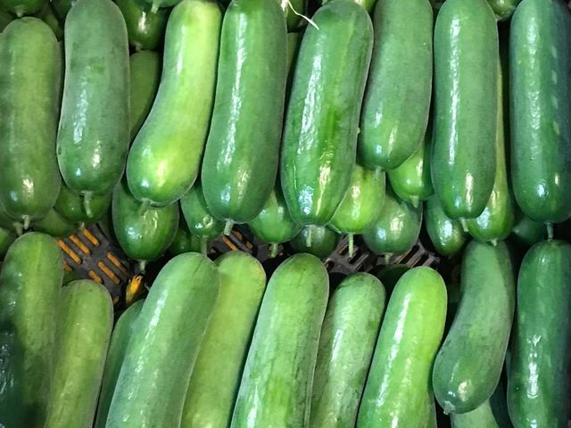 【雲林小農友善栽培 生菜箱】三種蔬菜 健身OL最愛