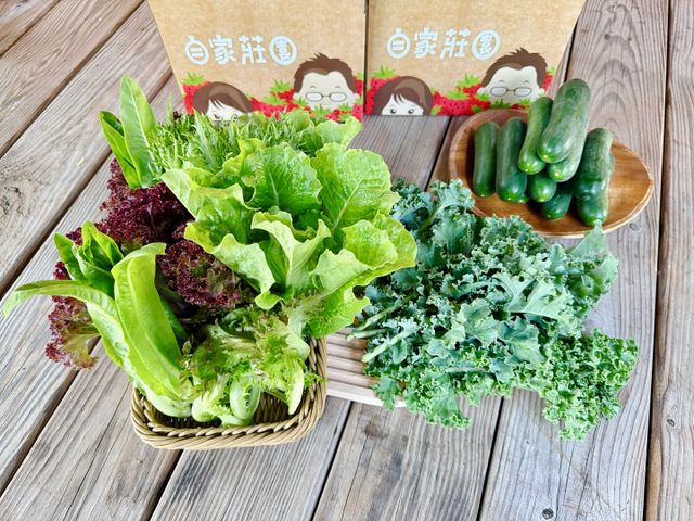 【雲林小農友善栽培 生菜箱】三種蔬菜 健身OL最愛