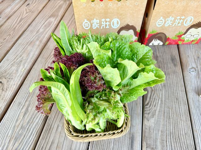 【雲林小農友善栽培 生菜箱】三種蔬菜 健身OL最愛
