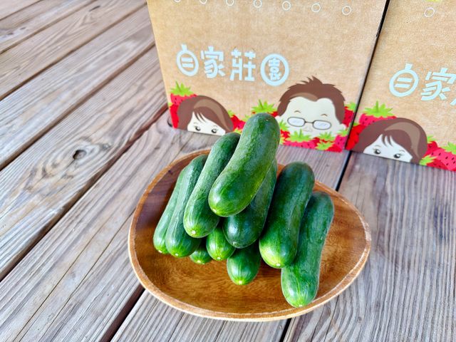 【雲林小農友善栽培 生菜箱】三種蔬菜 健身OL最愛