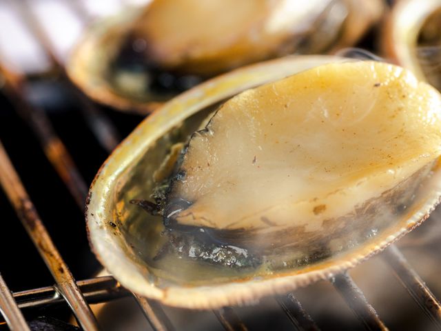 【美味海鮮 急速冷凍生鮮九孔 300g/包】東北角貢寮九孔鮑｜天然養殖・急凍鎖鮮・產銷履歷安心選