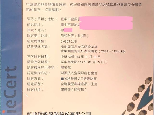 【台中豐原 產銷履歷認證 無籽檸檬 5斤裝】皮薄多汁 酸甜滋味