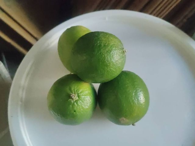 【台中豐原 產銷履歷認證 無籽檸檬 5斤裝】皮薄多汁 酸甜滋味
