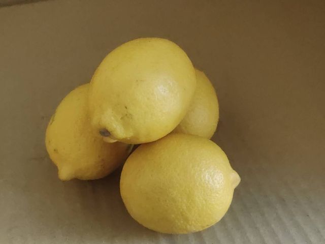 【台中豐原！台灣黃檸檬新鮮直送 5 斤裝】讓味蕾談一場優雅的戀愛！