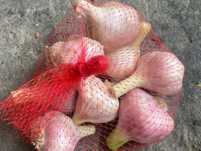 【雲林海蒜 在地大蒜散裝】當季已烘乾的乾蒜頭 手工精心挑選海口蒜