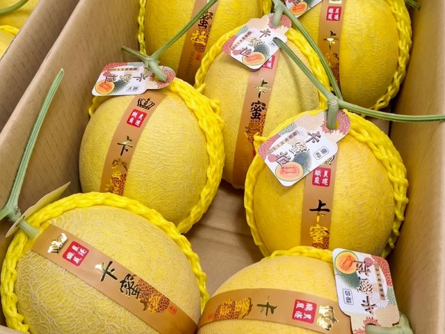 【 閃亮登場！台灣產黃金卡蜜拉洋香瓜 18斤裝 (約6-8顆) 】細緻網紋 清脆香甜 哈密瓜界的夢幻珍品