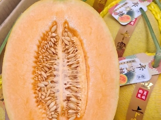 【 閃亮登場！台灣產黃金卡蜜拉洋香瓜 18斤裝 (約6-8顆) 】細緻網紋 清脆香甜 哈密瓜界的夢幻珍品