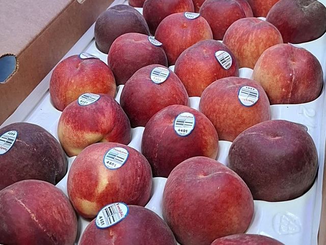【 夏季限定！美國水蜜桃 4kg原裝箱(約20~25顆) 】產地直送 果肉飽滿桃香濃郁