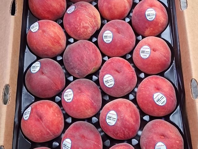 【 夏季限定！美國水蜜桃 4kg原裝箱(約20~25顆) 】產地直送 果肉飽滿桃香濃郁