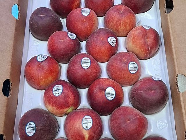 【 夏季限定！美國水蜜桃 4kg原裝箱(約20~25顆) 】產地直送 果肉飽滿桃香濃郁