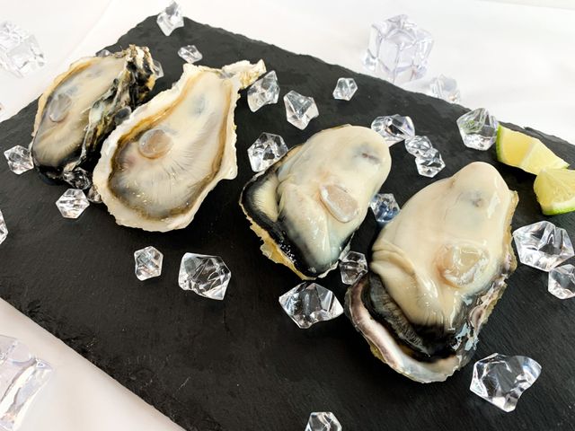 【富春水產 日本兵庫全殼(3L)大生蠔8顆裝】俗稱海中牛奶 營養價值豐富