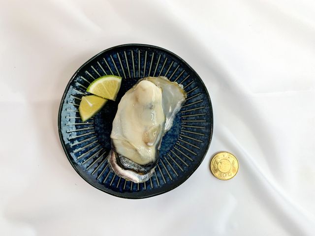 【富春水產 日本兵庫全殼(3L)大生蠔8顆裝】俗稱海中牛奶 營養價值豐富