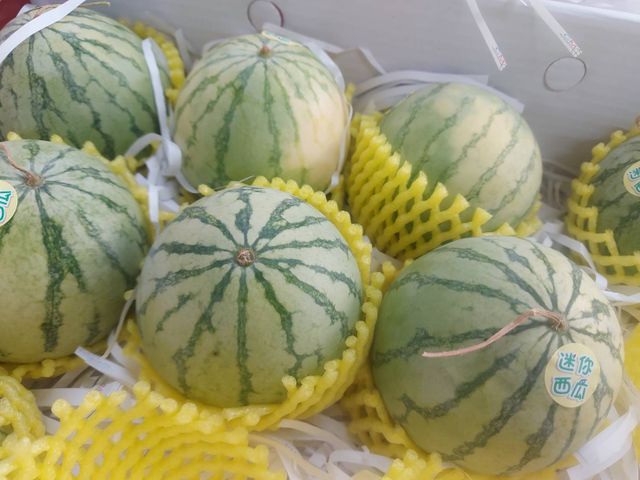 【日本療癒系！迷你小西瓜5kg(約12~18顆)】小巧可愛一手掌握