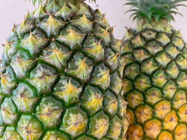 【稀少釋出！水蜜桃鳳梨一箱10kg裝(5~9支)】 來自高雄大樹 細心栽種的甜美鳳梨