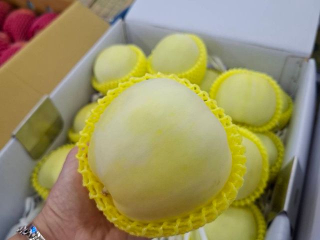 【夏日嚴選！嘉義美濃瓜 10斤裝(約14-16顆) 】濃郁果香 皮薄多汁甜美好瓜瓜！