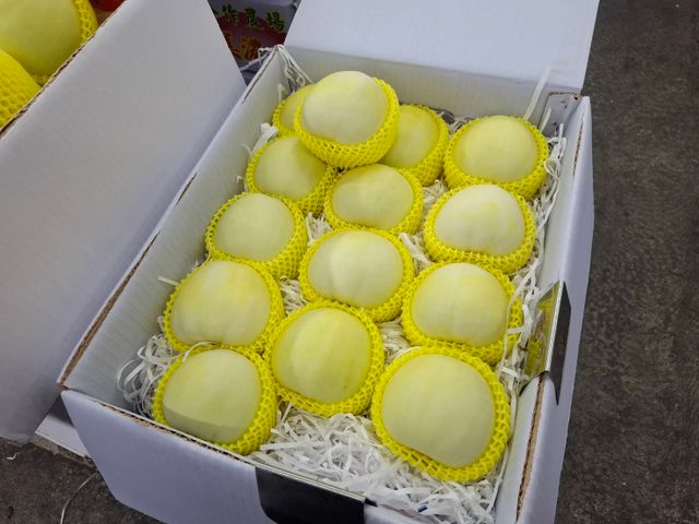 【夏日嚴選！嘉義美濃瓜 10斤裝(約14-16顆) 】濃郁果香 皮薄多汁甜美好瓜瓜！