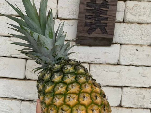 【神農獎加持！嘉義民雄 玉蘭花鳳梨約4~6斤嚐鮮盒(2~3入)】自帶花香 果肉細緻 完熟採收