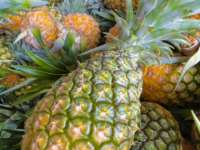 【神農獎加持！嘉義民雄 玉蘭花鳳梨約4~6斤嚐鮮盒(2~3入)】自帶花香 果肉細緻 完熟採收
