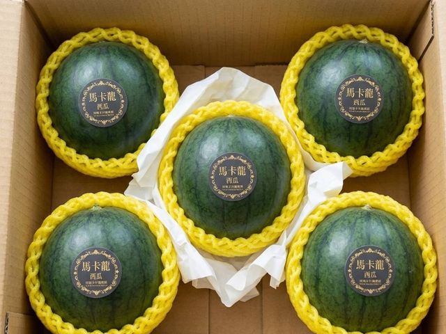 【屏東內埔 有機馬卡龍西瓜】6月中旬甜蜜採收 一口咬下就是夏天最純粹的甜