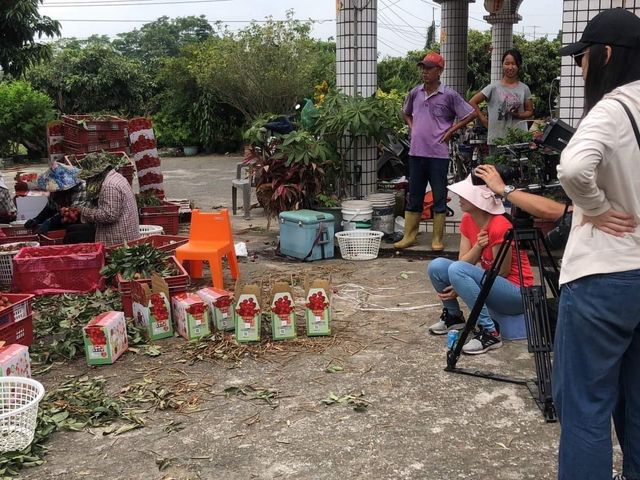 【X5基金會端午贈禮！高雄大樹 無毒原生種30-38mm玉荷包X53盒】爆甜多汁・Q彈細緻的夏季皇后
