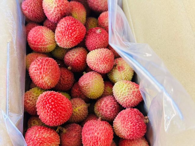 【X5基金會端午贈禮！高雄大樹 無毒原生種30-38mm玉荷包X53盒】爆甜多汁・Q彈細緻的夏季皇后