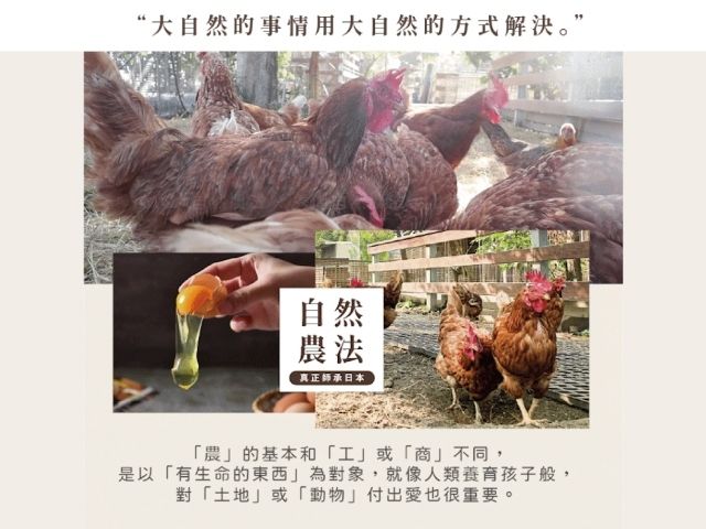 【桂園嚴選 鳥皮蛋3盒】特選鵪鶉蛋｜桂園鳥皮蛋一口濃郁、越吃越涮嘴