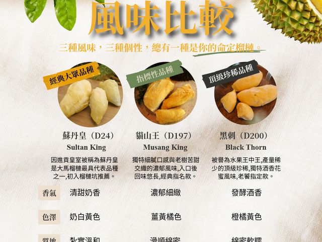 【馬太太MATAITAI｜D197貓山王榴槤盒裝果肉 (400g)】馬來西亞榴槤｜經典傳奇的王者風味