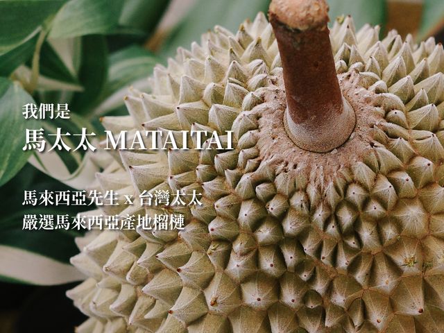 【馬太太MATAITAI｜D24蘇丹皇榴槤盒裝果肉 (400g)】馬來西亞榴槤｜夢幻逸品的奢華體驗