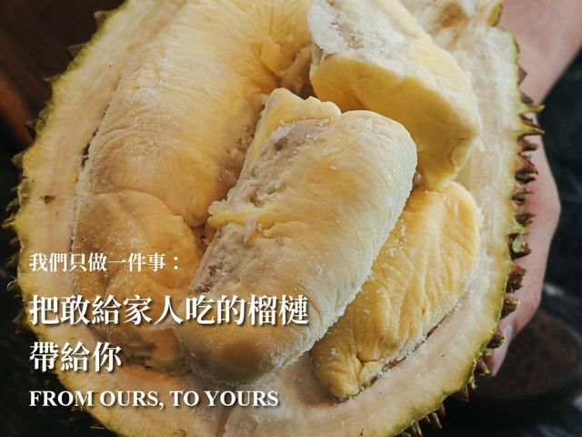 【馬太太MATAITAI｜D197貓山王榴槤盒裝果肉 (3盒)】馬來西亞榴槤｜經典傳奇的王者風味