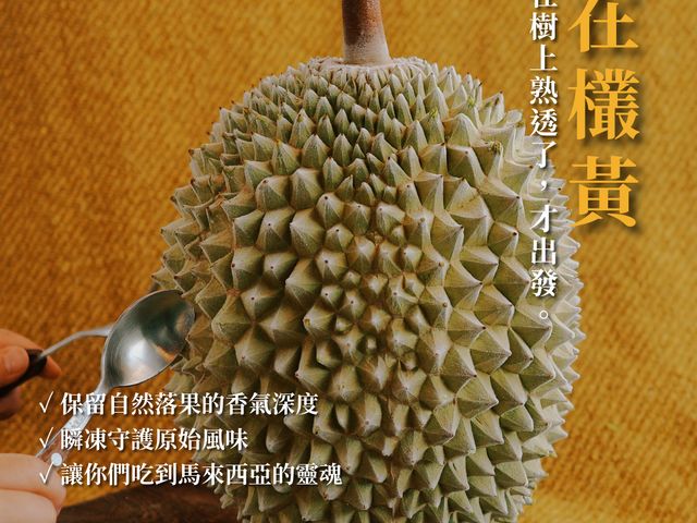 【馬太太MATAITAI｜D197貓山王液氮帶殼榴槤】A果保證4～6房以上，液態氮冷凍極速鎖鮮