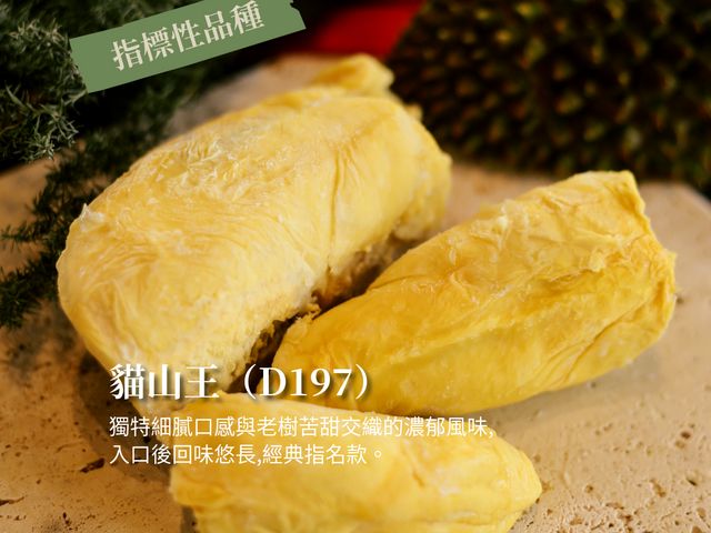 【馬太太MATAITAI｜D197貓山王液氮帶殼榴槤】A果保證4～6房以上，液態氮冷凍極速鎖鮮