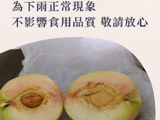 【盛產中！桃園拉拉山 高山水蜜桃】我們不催熟、不催大，只想種出真正有味道的水蜜桃