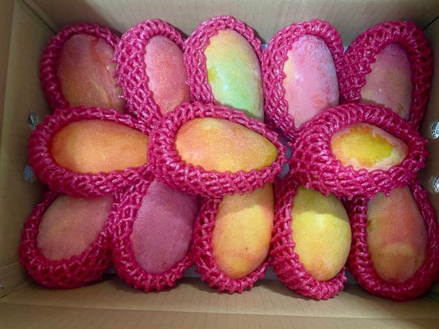 【高雄燕巢 水蜜桃芒果 10斤裝】鮮嫩多汁，細緻果香的珍稀美味